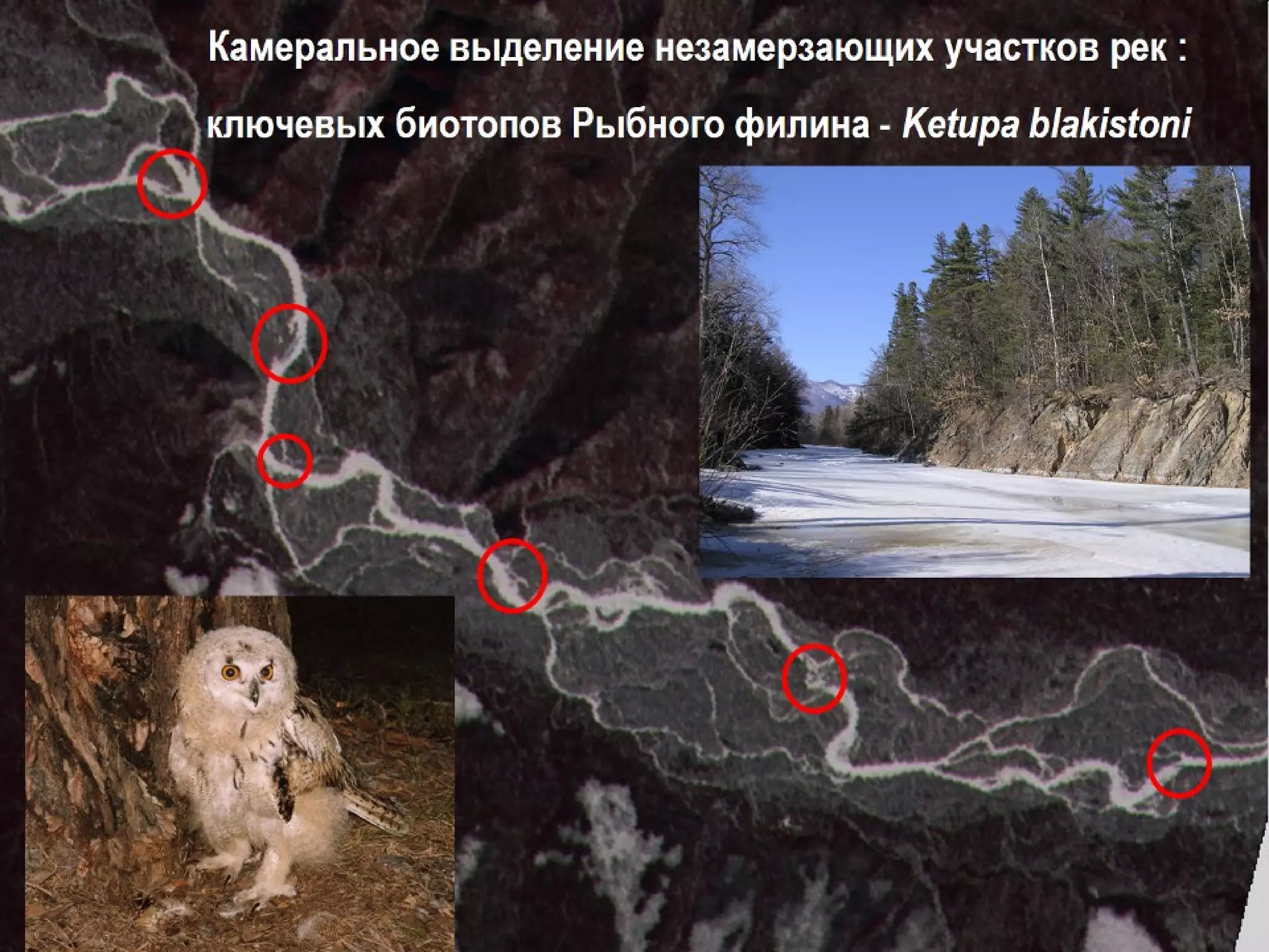 Организация и проведение ппооллееввыыхх ррааббоотт ппоо 
ииссссллееддооввааннииюю ллеессоовв ввыыссооккоойй ппррииррооддооооххрраанннноойй ццееннннооссттии 
September 
28, 2013 - 
29 
 