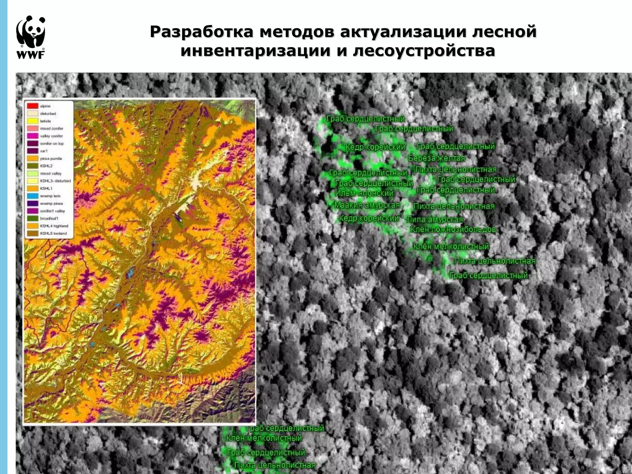 Разработка методов ааккттууааллииззааццииии ллеесснноойй 
September 
28, 2013 - 
31 
ииннввееннттааррииззааццииии ии ллеессооууссттррооййссттвваа 
 