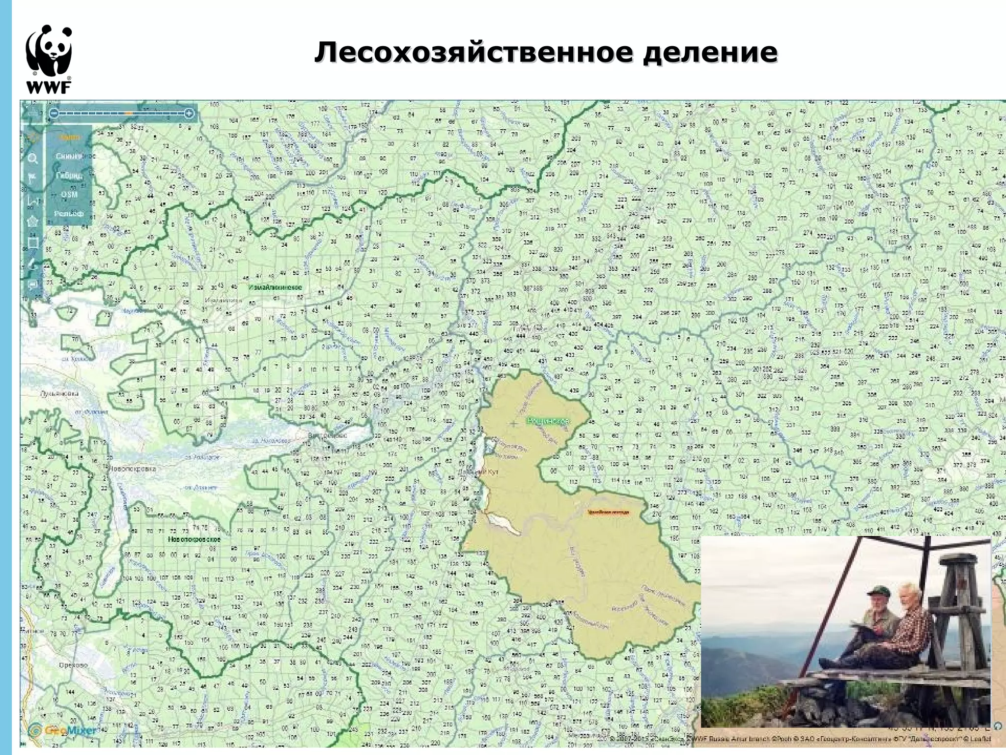 September 
28, 2013 - 7 
ЛЛеессооххооззяяййссттввееннннооее ддееллееннииее 
 