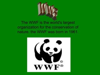 The WWF is the world's largest
organization for the conservation of
nature. the WWF was born in 1961.
 