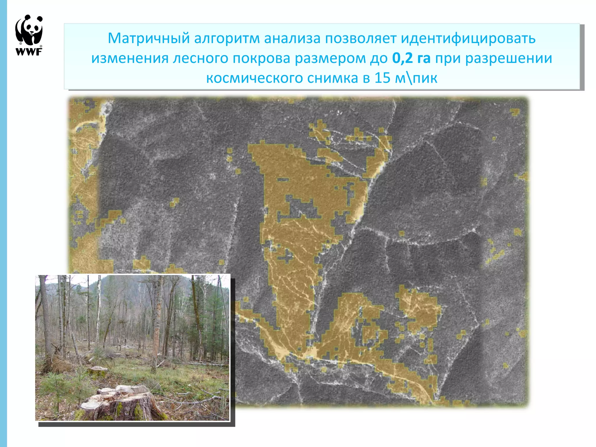 Матричный алгоритм анализа позволяет идентифицировать 
изменения лесного покрова размером до 0,2 га при разрешении 
Матричный алгоритм анализа позволяет идентифицировать 
изменения лесного покрова размером до 0,2 га при разрешении 
27 Ноябрь, 2014 - 11 
космического снимка в 15 мпик 
космического снимка в 15 мпик 
 