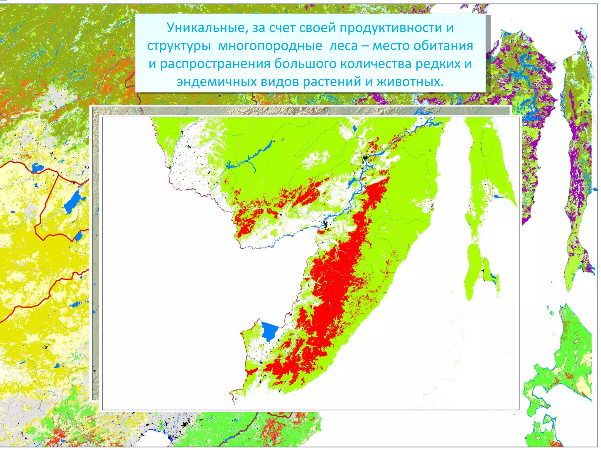 27 Ноябрь, 2014 - 3 
Уникальные, за счет своей продуктивности и 
Уникальные, за счет своей продуктивности и 
структуры многопородные леса – место обитания 
и распространения большого количества редких и 
структуры многопородные леса – место обитания 
и распространения большого количества редких и 
эндемичных видов растений и животных. 
эндемичных видов растений и животных. 
 