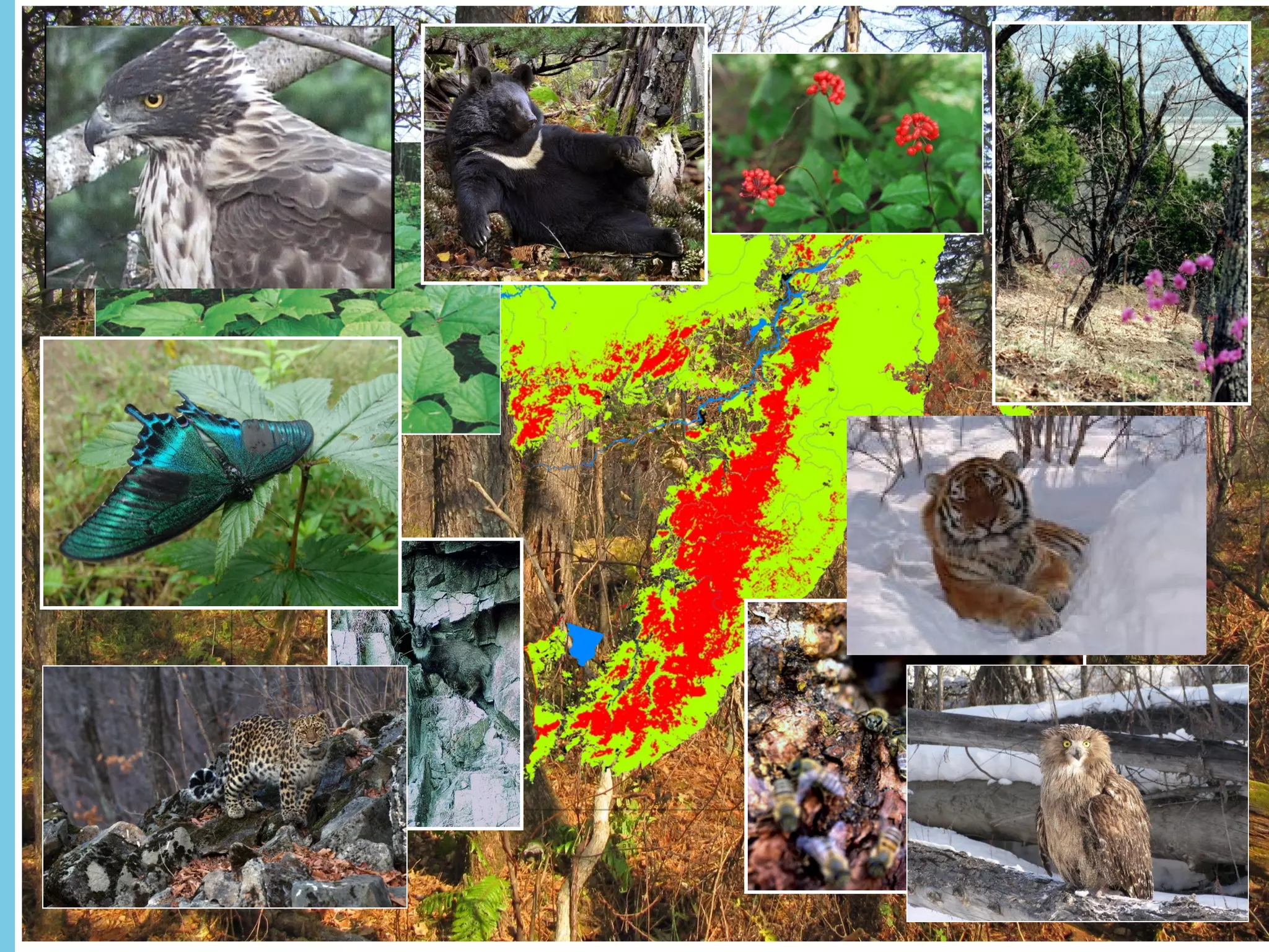 27 Ноябрь, 2014 - 4 
 