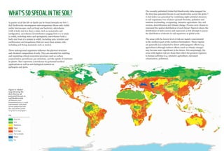 WWF Living Planet Report 2018 page 14 Summary page 15
WHAT’SSOSPECIALINTHESOIL?
A quarter of all the life on Earth can be ...