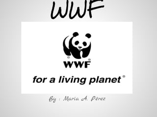WWF
By : María A. Pérez
 