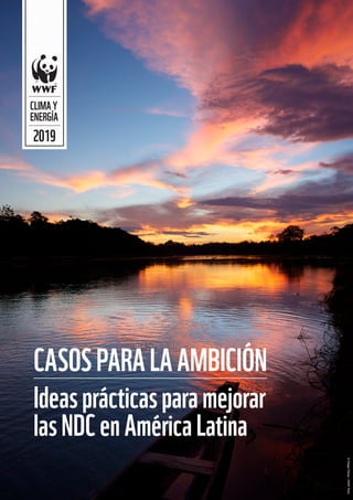 CASOSPARALAAMBICIÓN
Ideasprácticasparamejorar
lasNDCenAméricaLatina
2019
CLIMAY
ENERGÍA
©
Diego
Pérez
/
WWF
Perú
 