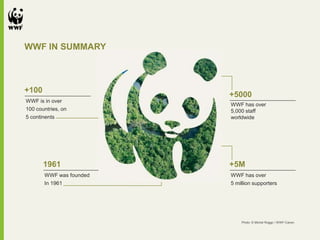 WWF IN SUMMARY
WWF is in over
100 countries, on
5 continents
+100
WWF was founded
In 1961
1961
WWF has over
5,000 staff
worldwide
+5000
WWF has over
5 million supporters
+5M
Photo: © Michel Roggo / WWF-Canon
 