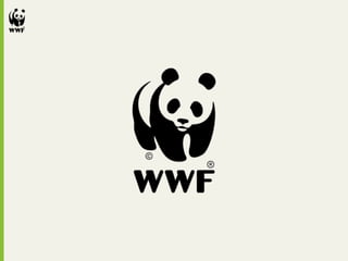 'Beyond CSR' - WWF@World Communication Forum, Davos