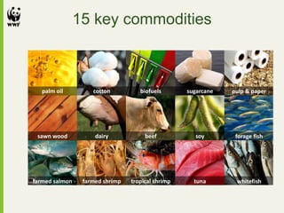 palm oil cotton biofuels pulp & papersugarcane
sawn wood dairy beef forage fishsoy
farmed salmon farmed shrimp tropical shrimp whitefishtuna
15 key commodities
 