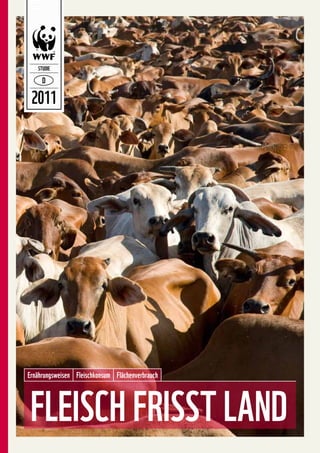 STUDIE




 2011




Ernährungsweisen Fleischkonsum Flächenverbrauch
 