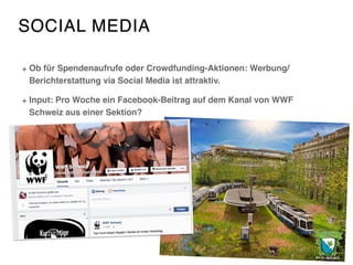 SOCIAL MEDIA
Ob für Spendenaufrufe oder Crowdfunding-Aktionen: Werbung/
Berichterstattung via Social Media ist attraktiv.
Input: Pro Woche ein Facebook-Beitrag auf dem Kanal von WWF
Schweiz aus einer Sektion?
 