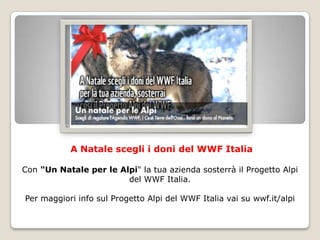 A Natale scegli i doni del WWF Italia

Con "Un Natale per le Alpi" la tua azienda sosterrà il Progetto Alpi
                        del WWF Italia.

Per maggiori info sul Progetto Alpi del WWF Italia vai su wwf.it/alpi
 