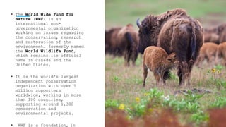 World Wildlife Fund for the conservation of nature.pptx
