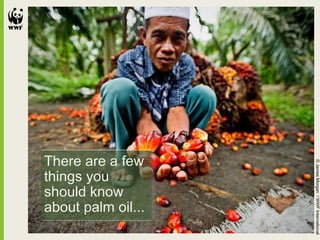 There are a few things you should know about palm oil... © James Morgan  / WWF International 