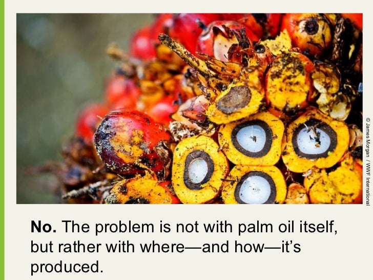 How Clean is Our Palm Oil?