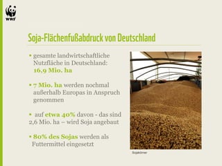  gesamte landwirtschaftliche
  Nutzfläche in Deutschland:
  16,9 Mio. ha

 7 Mio. ha werden nochmal
  außerhalb Europas in Anspruch
  genommen

 auf etwa 40% davon - das sind
2,6 Mio. ha – wird Soja angebaut

 80% des Sojas werden als
 Futtermittel eingesetzt
                                   Sojakörner
 