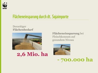 Derzeitiger
Flächenbedarf
                Flächeneinsparung bei
                Fleischkonsum auf
                gesundem Niveau




  2,6 Mio. ha
                   - 700.000 ha
 