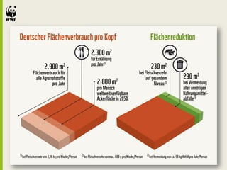 WWF Fleischfrage: "Fleisch frisst Land"
