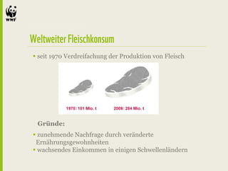  seit 1970 Verdreifachung der Produktion von Fleisch




 Gründe:
 zunehmende Nachfrage durch veränderte
 Ernährungsgewohnheiten
 wachsendes Einkommen in einigen Schwellenländern
 