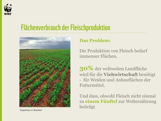Das Problem:

                         Die Produktion von Fleisch bedarf
                         immenser Flächen.

                         30% der weltweiten Landfläche
                         wird für die Viehwirtschaft benötigt
                         - für Weiden und Anbauflächen der
                         Futtermittel.

                         Und dass, obwohl Fleisch nicht einmal
                         zu einem Fünftel zur Welternährung
                         beiträgt.
Sojaanbau in Brasilien
 