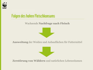 Wachsende Nachfrage nach Fleisch




Ausweitung der Weiden und Anbauflächen für Futtermittel




Zerstörung von Wäldern und natürlichen Lebensräumen
 