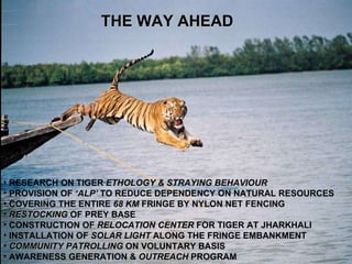 Tiger Autonomy Wildlife governance and mitigation of conflicts | PPT