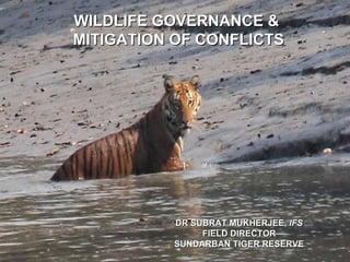 WILDLIFE GOVERNANCE & MITIGATION OF CONFLICTS DR SUBRAT MUKHERJEE,  IFS FIELD DIRECTOR SUNDARBAN TIGER RESERVE 