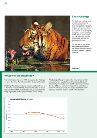 Wwf strategic plan | PDF