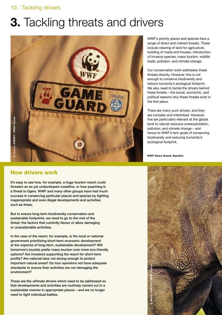 Wwf initiatives image