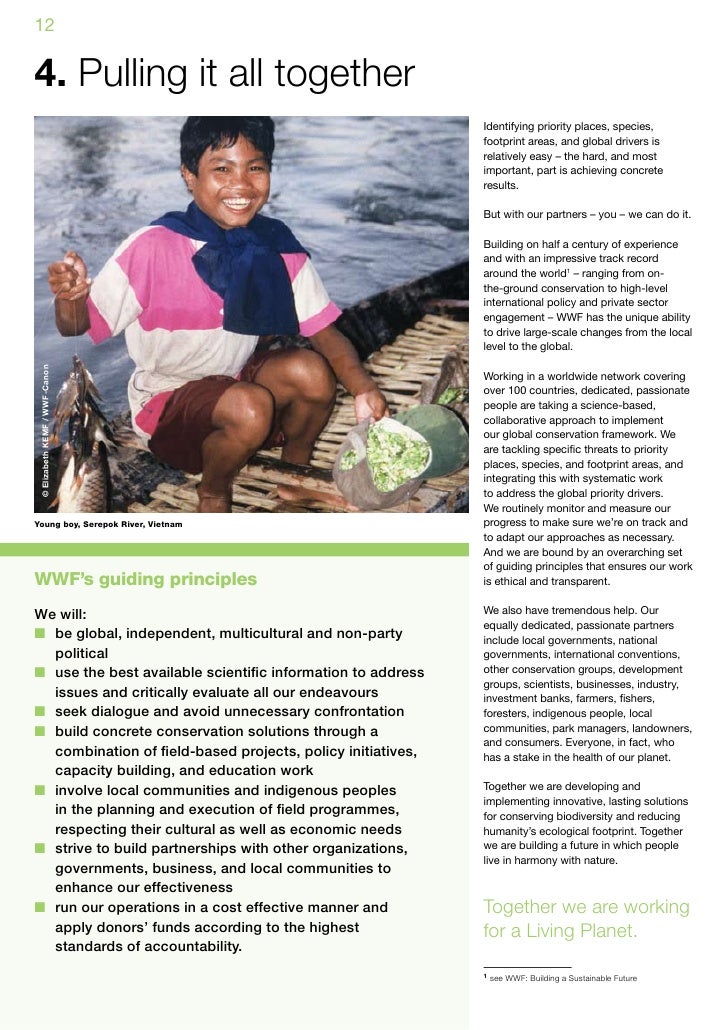 Wwf activities picture