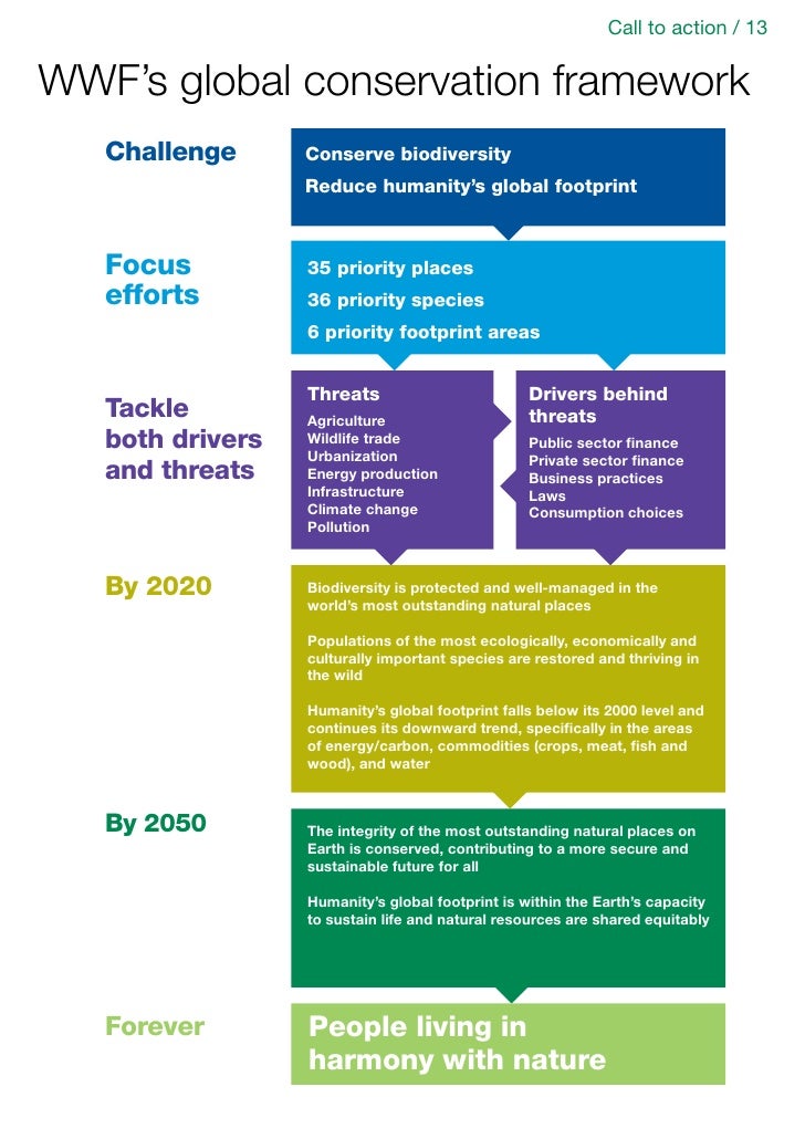 Wwf marketing strategy image