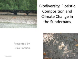 Biodiversity, Floristic Composition and Climate Change in the Sunderbans Presented by Istiak Sobhan 13 April 2011 