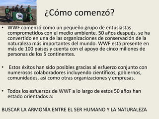 Wwf Inicios WWF - ONG | PPTX