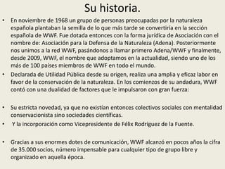 Wwf Inicios WWF - ONG | PPTX
