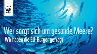 Wer sorgt sich um gesunde Meere?
Wir haben die EU-Bürger gefragt
 