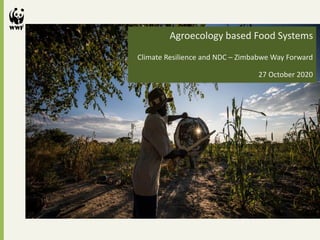 Agroecology based Food Systems
Climate Resilience and NDC – Zimbabwe Way Forward
27 October 2020
 