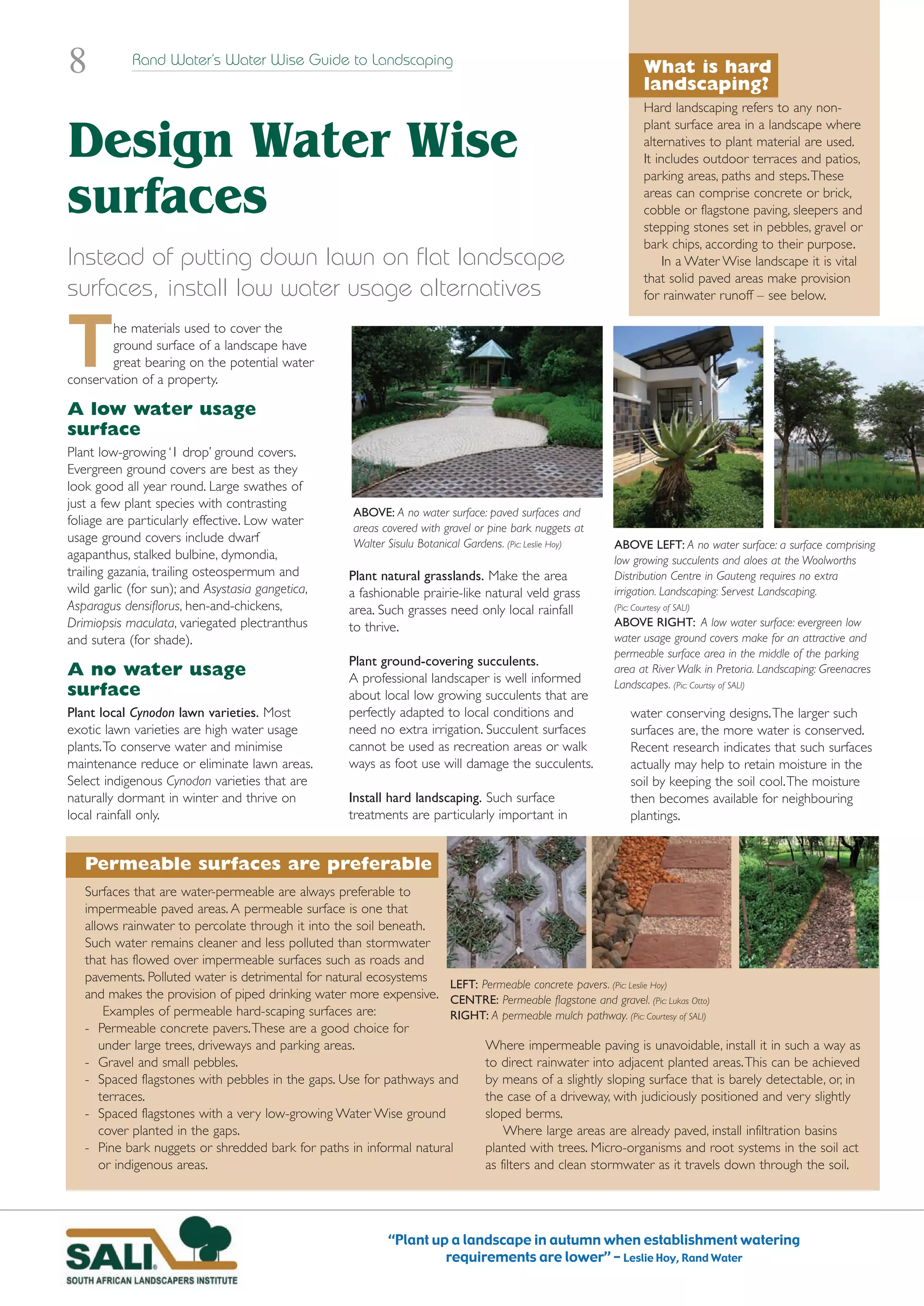 Landscaping Ideas For Water Conservation photo