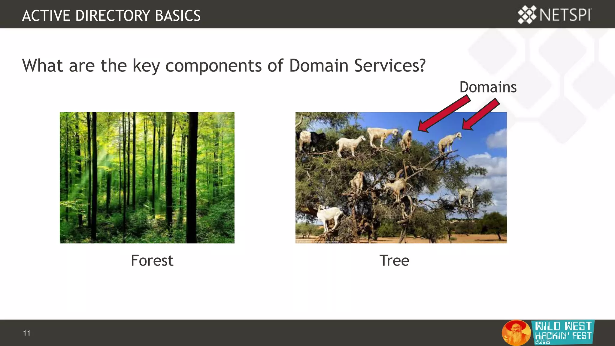 11 Confidential & Proprietary
ACTIVE DIRECTORY BASICS
What are the key components of Domain Services?
Forest Tree
Domains
 