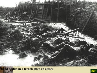 Dead bodies in a trench after an attack  #27 