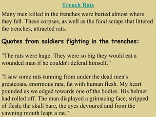 Trench Rats
Many men killed in the trenches were buried almost where
they fell. These corpses, as well as the food scraps that littered
the trenches, attracted rats.

Quotes from soldiers fighting in the trenches:

"The rats were huge. They were so big they would eat a
wounded man if he couldn't defend himself."

"I saw some rats running from under the dead men's
greatcoats, enormous rats, fat with human flesh. My heart
pounded as we edged towards one of the bodies. His helmet
had rolled off. The man displayed a grimacing face, stripped
of flesh; the skull bare, the eyes devoured and from the
yawning mouth leapt a rat."
 
