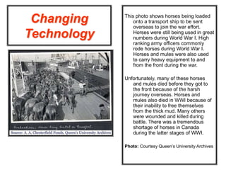 Changing
Technology
This photo shows horses being loaded
onto a transport ship to be sent
overseas to join the war effort.
Horses were still being used in great
numbers during World War I. High
ranking army officers commonly
rode horses during World War I.
Horses and mules were also used
to carry heavy equipment to and
from the front during the war.
Unfortunately, many of these horses
and mules died before they got to
the front because of the harsh
journey overseas. Horses and
mules also died in WWI because of
their inability to free themselves
from the thick mud. Many others
were wounded and killed during
battle. There was a tremendous
shortage of horses in Canada
during the latter stages of WWI.
Photo: Courtesy Queen’s University Archives
 