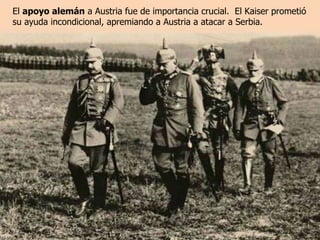 El  apoyo alemán  a Austria fue de importancia crucial.  El Kaiser prometió su ayuda incondicional, apremiando a Austria a atacar a Serbia.  