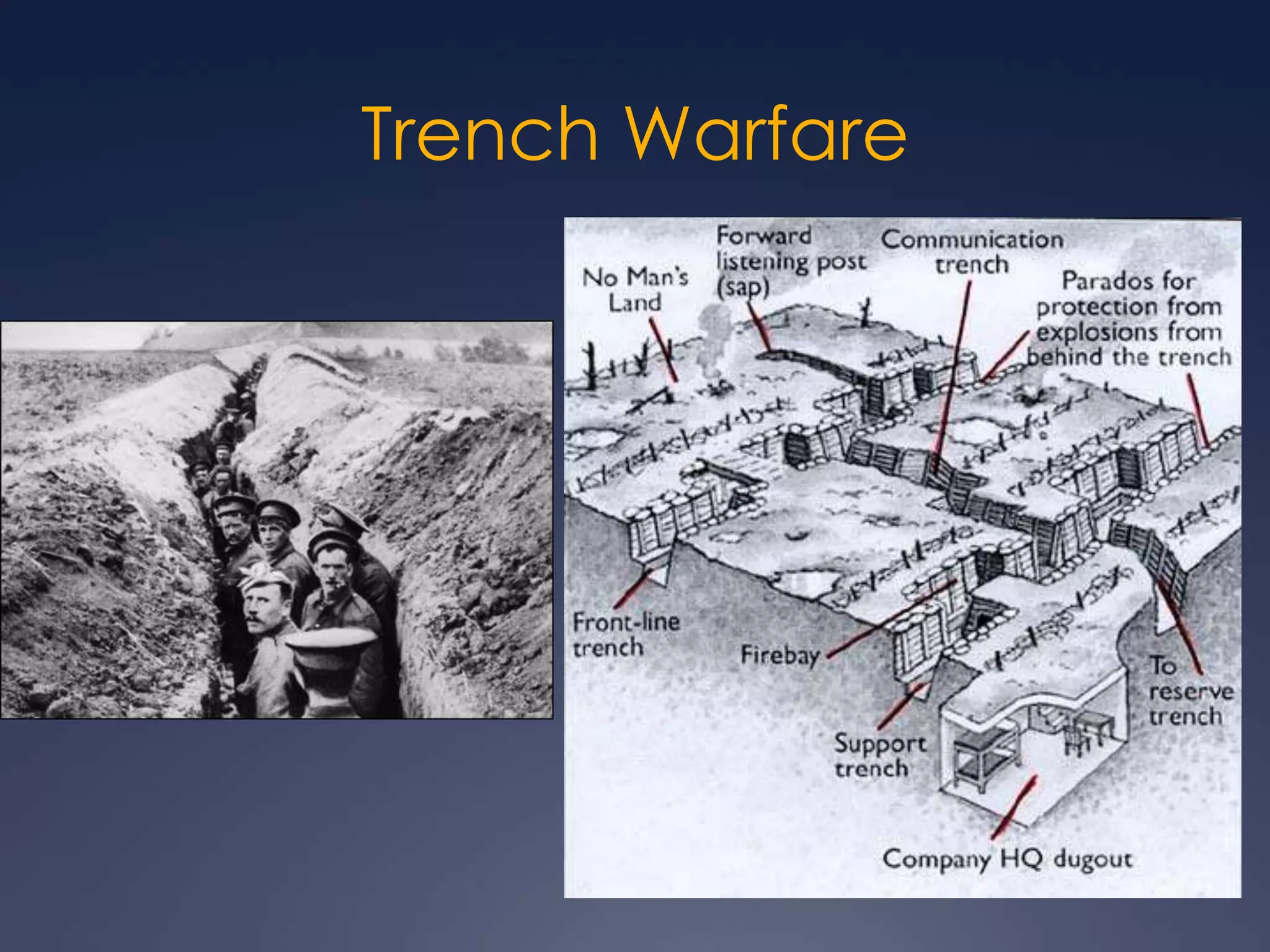 Trench Warfare

 