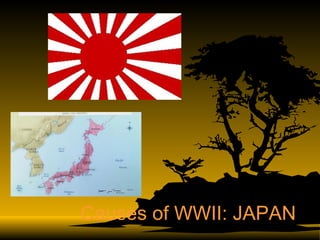 Causes of WWII: JAPAN 