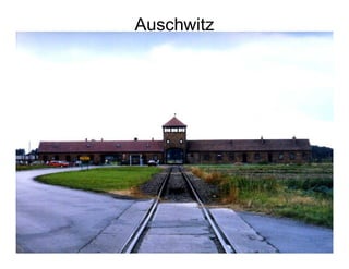 Auschwitz
 