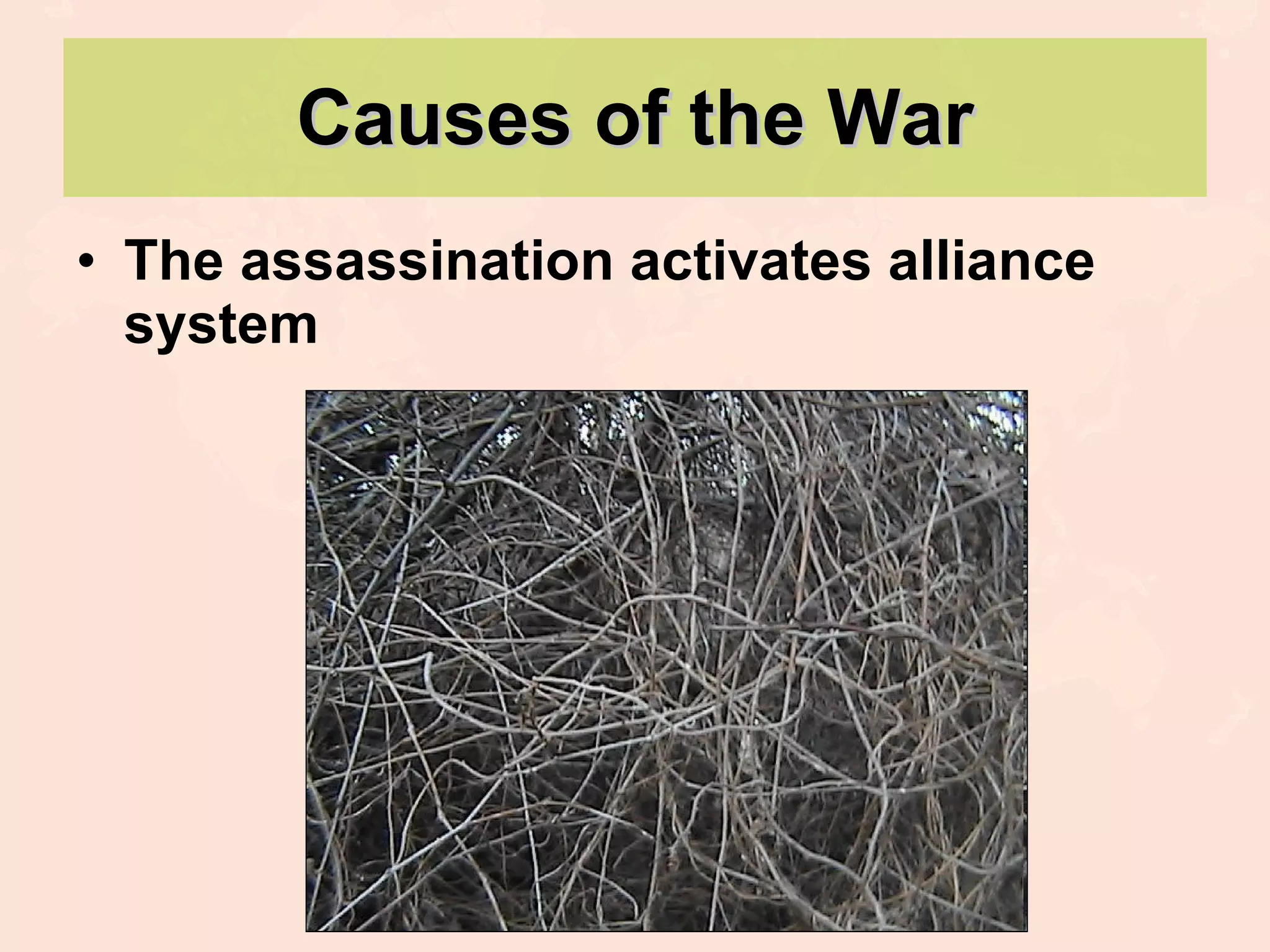 Causes of the War The assassination activates alliance system 