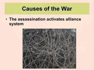 Causes of the War The assassination activates alliance system 