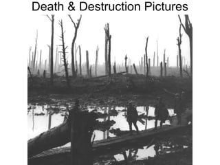Death & Destruction Pictures
 