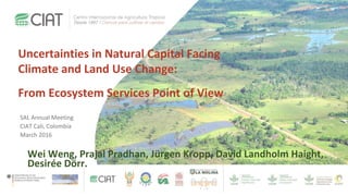 Uncertainties in Natural Capital Facing
Climate and Land Use Change:
From Ecosystem Services Point of View
Wei Weng, Prajal Pradhan, Jürgen Kropp, David Landholm Haight,
Desirée Dörr.
SAL Annual Meeting
CIAT Cali, Colombia
March 2016
 