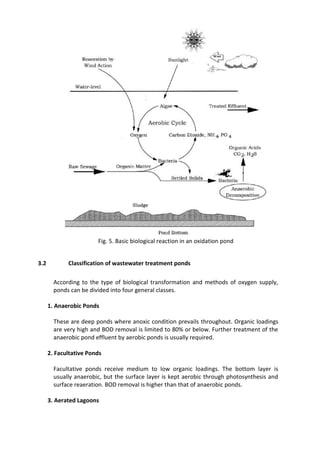 Fig. 5. Basic biological reaction in an oxidation pond
3.2 Classification of wastewater treatment ponds
According to the type of biological transformation and methods of oxygen supply,
ponds can be divided into four general classes.
1. Anaerobic Ponds
These are deep ponds where anoxic condition prevails throughout. Organic loadings
are very high and BOD removal is limited to 80% or below. Further treatment of the
anaerobic pond effluent by aerobic ponds is usually required.
2. Facultative Ponds
Facultative ponds receive medium to low organic loadings. The bottom layer is
usually anaerobic, but the surface layer is kept aerobic through photosynthesis and
surface reaeration. BOD removal is higher than that of anaerobic ponds.
3. Aerated Lagoons
 